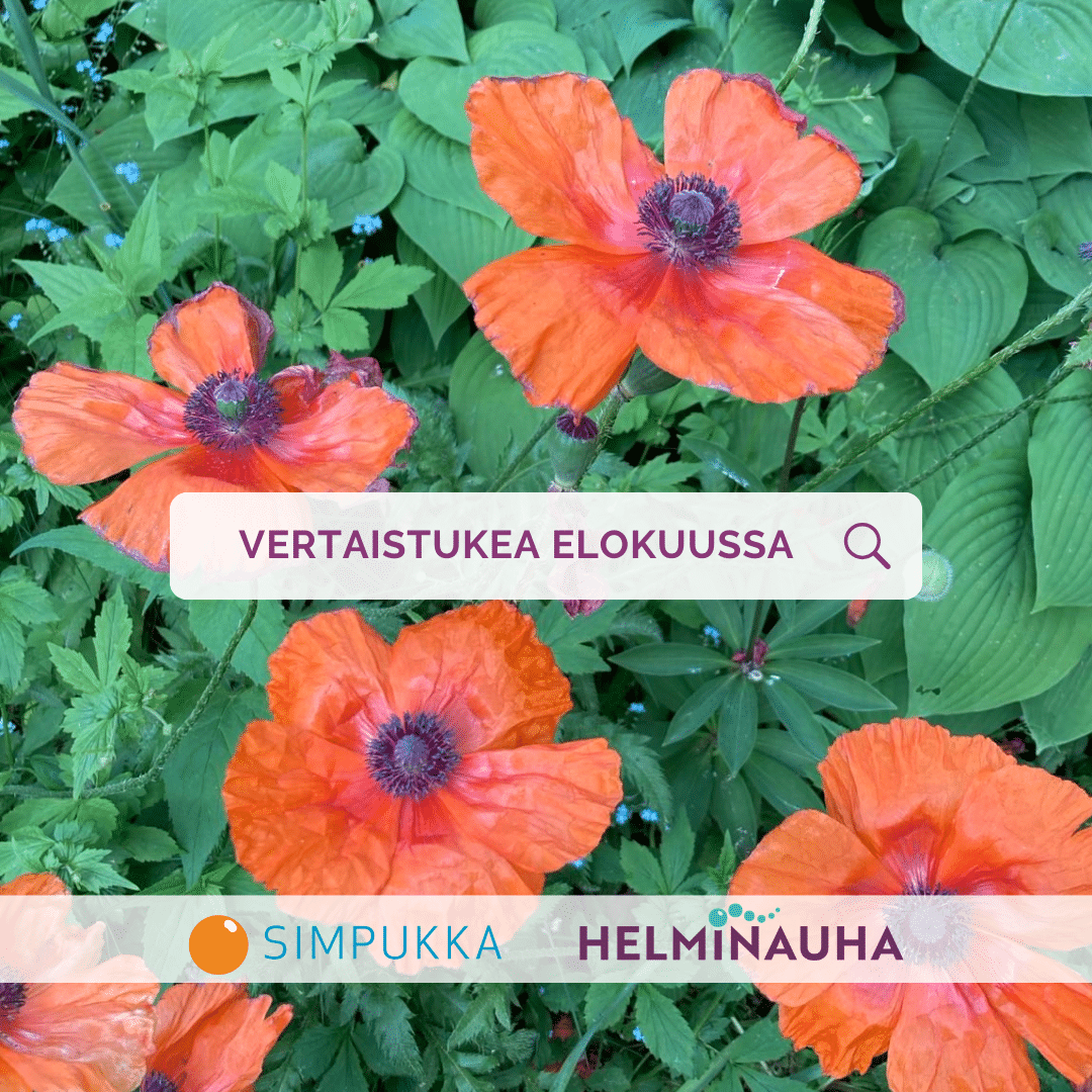 taustalla valokuva punaisista unikoista. kuvan päällä teksti vertaistukea elokuussa. Alla simpukan ja syke-verkoston logot.