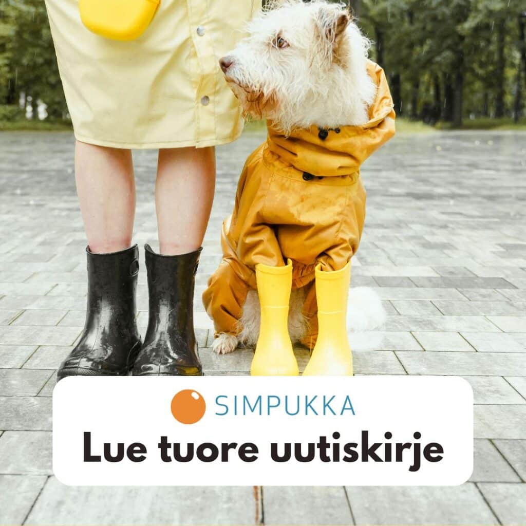 Lue tuore uutiskirje. Simpukan logo. Nainen ja koira.