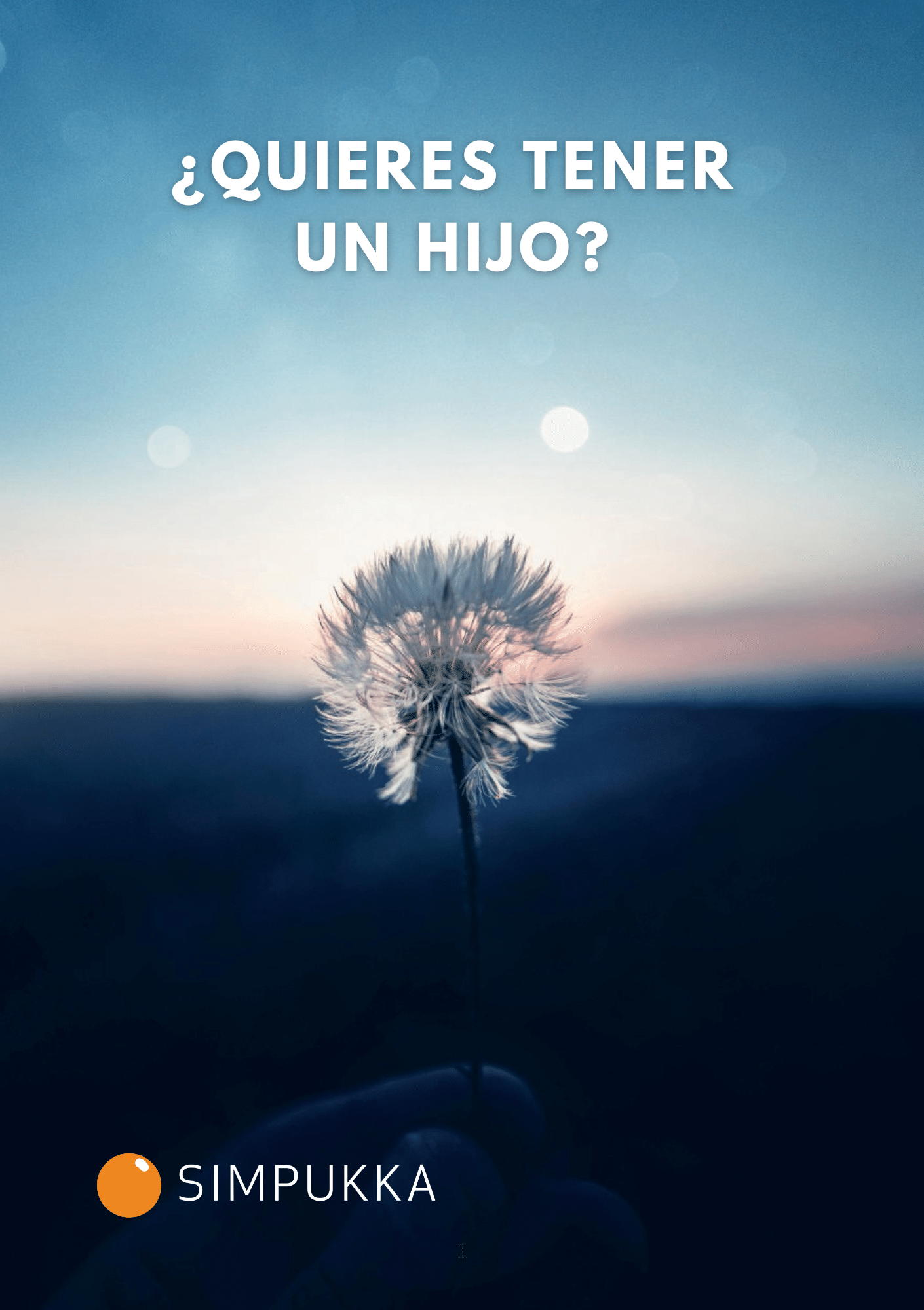 ¿QUIERES TENER
UN HIJO? - opas espanjaksi kansikuva