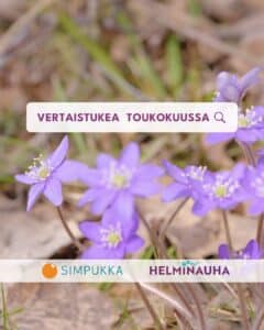 Vertaistukea toukokuussa