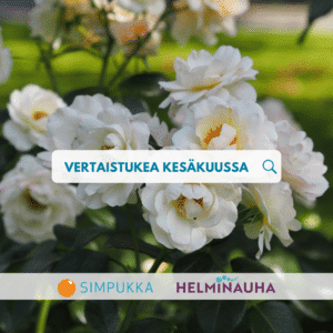 Valkoisia ruusuja vihreässä puutarhassa. Kuvan keskellä on hakupalkki, jossa lukee ”Vertaistukea kesäkuussa” ja suurennuslasin kuvake. Alareunassa näkyvät Simpukka- ja Helminauha-logot.